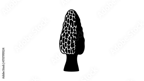 Morel mushroom with transparent background