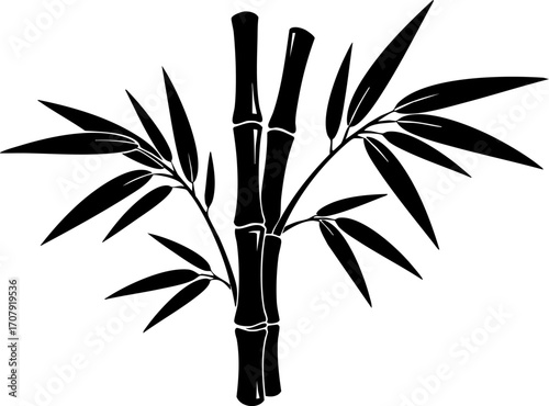 Elegant black silhouette of bamboo stalks and leaves.