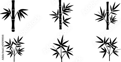 Collection of eight black silhouette tree illustrations: evergreen, palm, and various deciduous trees.
