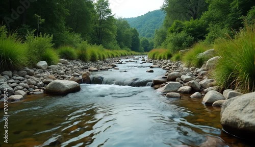 강가의 흐르는 물