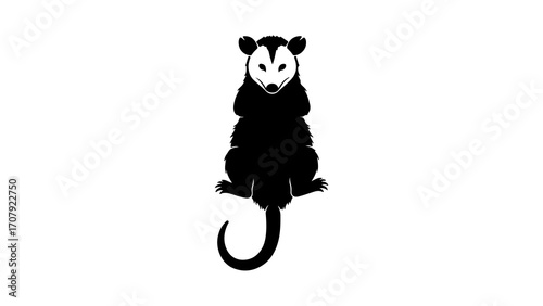 Opossum hanging with transparent background