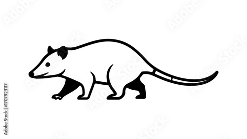 Opossum wildlife animal with transparent background