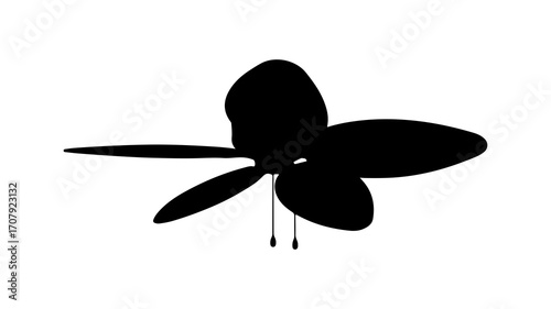 Orchid flower silhouette with transparent background