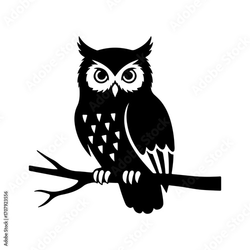 Owl perched on branch with transparent background