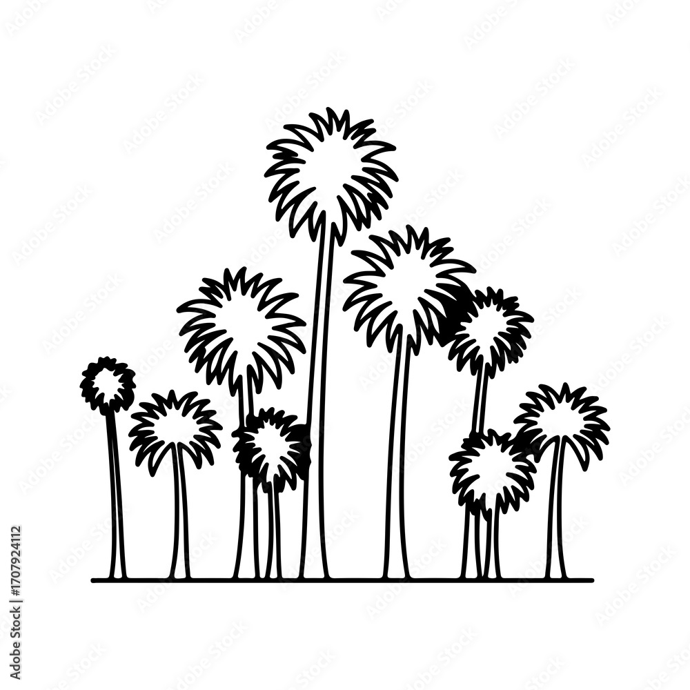 Obraz premium Palm trees outline with transparent background