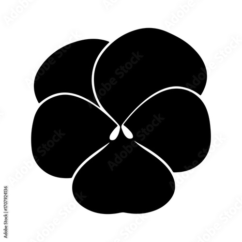Pansy flower with transparent background