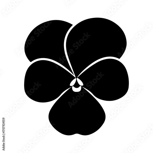 Pansy flower with transparent background