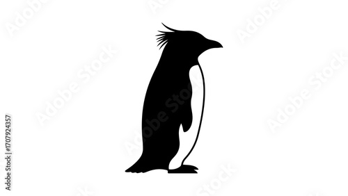Penguin silhouette with transparent background
