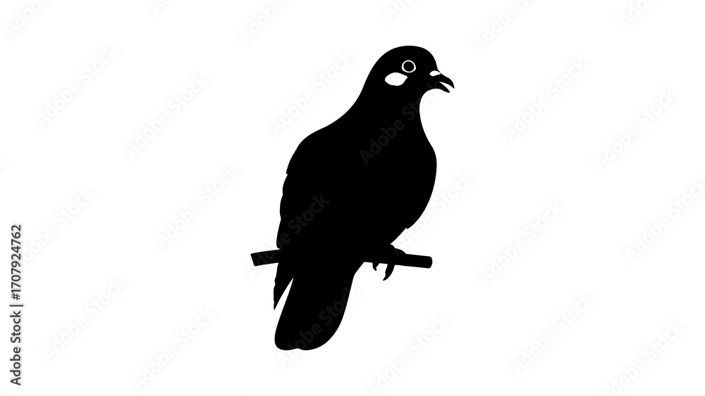 Fototapeta premium Pigeon perched on branch with transparent background