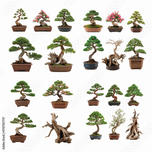 Various kinds of plant indoor and outdoor isolated white background 
