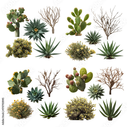 Various kinds of plant indoor and outdoor isolated white background 
