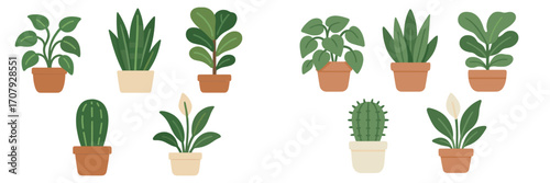 Assortment of various potted green houseplants, succulents, and cacti in terracotta and ceramic pots on a white background