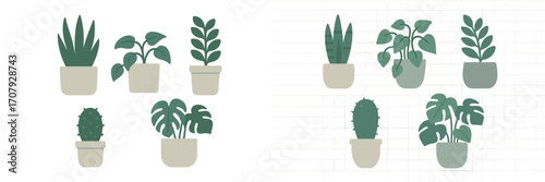 Assortment of popular indoor potted plants including snake plant, monstera, and cactus for home and office decoration