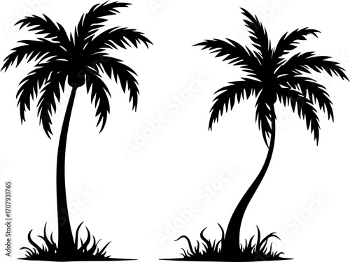 Two silhouette palm trees with tropical foliage against a clean white backdrop silhouette