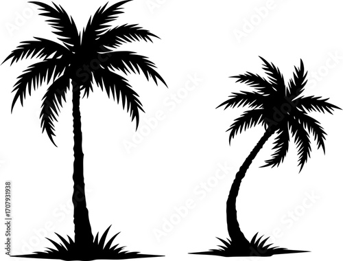 Silhouette of two tropical palm trees with lush greenery for a coastal vibe silhouette