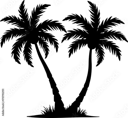 Silhouette of two tall palm trees with lush fronds and ground cover silhouette