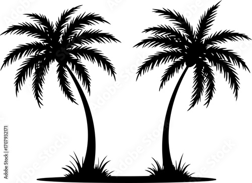 Silhouetted palm trees graphic design element tropical beach scene vegetation flora silhouette