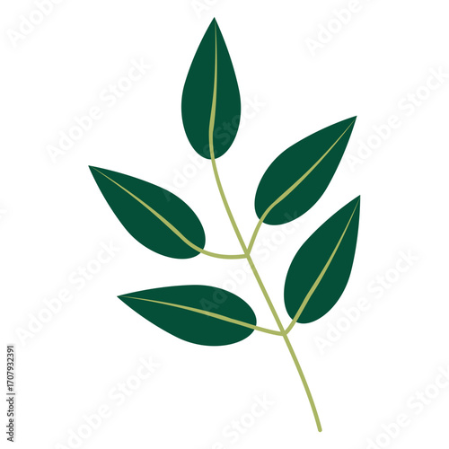 Close-up view of lush green leaves with intricate textures against a soft background