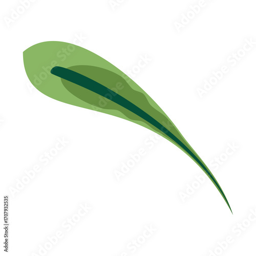 Lush green leaves with varying textures and shades, softly illuminated by natural light