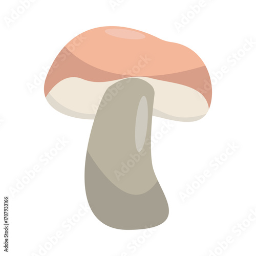 Close-up view of a stylized mushroom with soft colors, set against a plain background