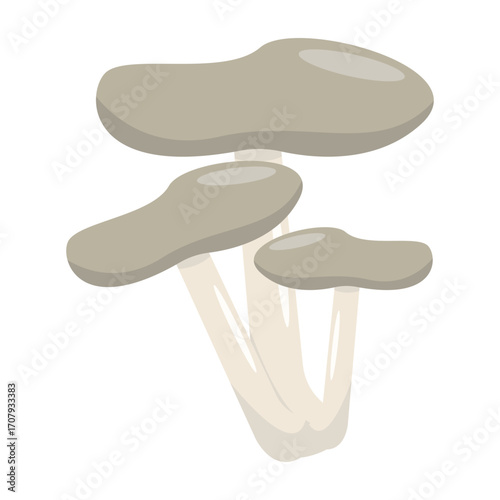 Stylized illustration of three mushrooms with smooth surfaces on a white background