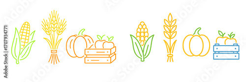 Collection of vibrant outline illustrations depicting various agricultural harvest items such as corn, wheat, pumpkins, and apples