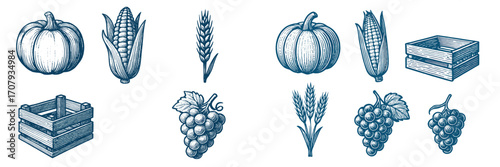 Autumn harvest season farm produce collection with pumpkins, corn, wheat, grapes, and rustic wooden crates