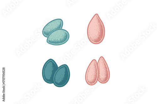 Collection of stylized organic seed shapes and egg-like forms with textured fill in teal and pink colors for nature and food designs