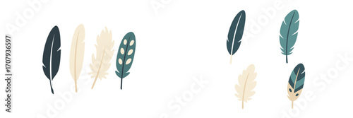 Decorative collection of stylized bird feathers in various shapes and natural colors on a clean white background
