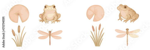 Various natural pond ecosystem elements featuring frogs, dragonflies, water lily pads, and cattail plants in a serene setting
