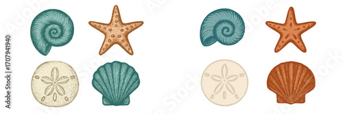 Assortment of various seashells, starfish, and sand dollar elements for nautical and beach themed designs