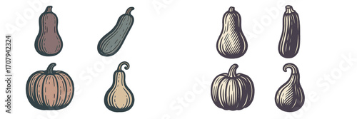 Various autumn gourds and squashes in a rustic hand-drawn style, ideal for seasonal designs and harvest themes
