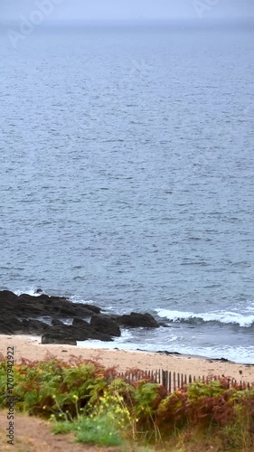 Vertical seaside landscape in Armor Coast, Brittany in France