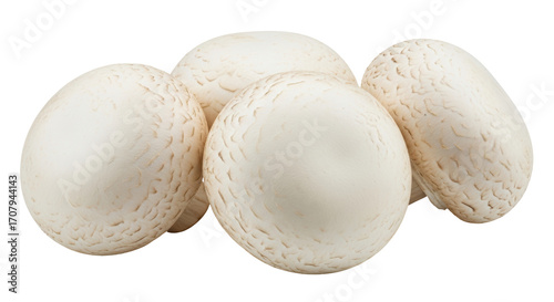 Принти на полотні Isolated field mushrooms are a healthy and fresh food source with vitamins and m