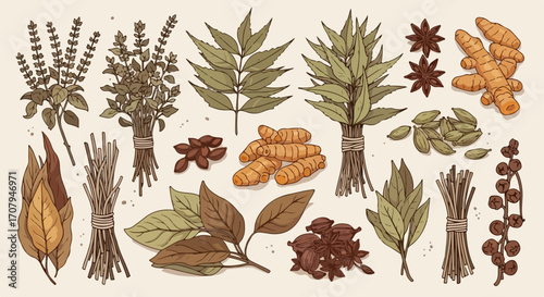 Assortment of herbal medicine remedies with diverse assortment of dried herbs and plants. Herbal medicine encompasses various dried botanicals including leaves, roots, and spices,