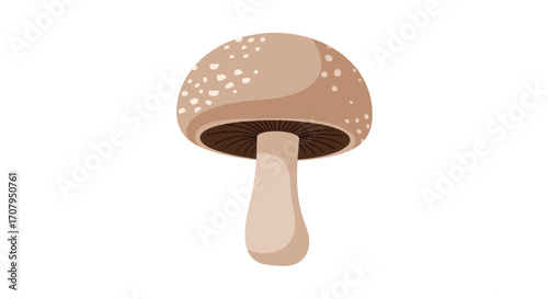 A single brown mushroom with white spots on its cap and a thick stem.