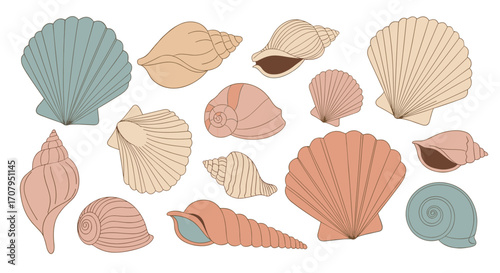 Collection of Assorted Seashells in Various Shapes and Colors.