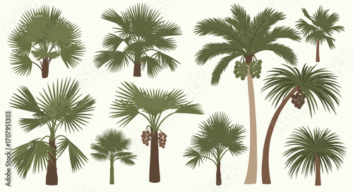 Collection of Diverse Palm Trees in Various Styles and Sizes.