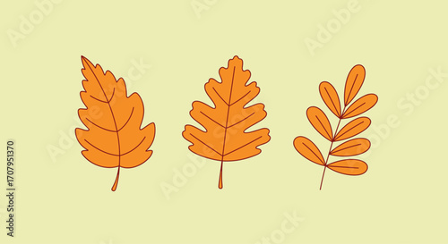 Three orange autumn leaves on a light yellow background.