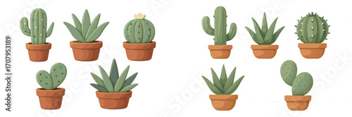 Charming collection of potted cacti and succulents in terracotta pots with soft shadows and diverse shapes