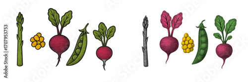 Vibrant selection of fresh organic garden vegetables including crisp asparagus, earthy beets, sweet peas, and golden corn kernels