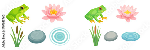 Two green frogs, pink water lilies, cattails, and natural pond elements on a clean white background