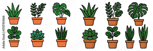 Diverse collection of popular green potted houseplants and succulents including monstera, snake plant, and aloe vera for home and office decor