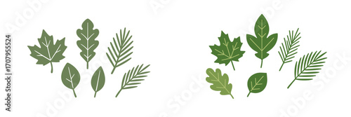 Assortment of green leaves with diverse shapes and textures representing various tree and plant species