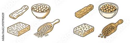 Nutritious plant-based protein foods: soybeans, tempeh, and tofu, essential for vegan and vegetarian diets