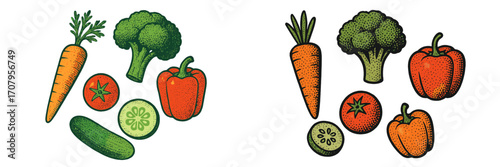 Vibrant selection of healthy organic vegetables such as carrots broccoli tomatoes cucumbers and bell peppers
