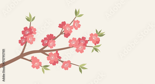 Vibrant pink cherry blossoms on a branch, symbolizing spring and renewal.