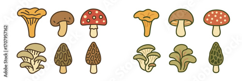 Assortment of diverse wild mushrooms and fungi species in a stylized flat design for nature and food concepts