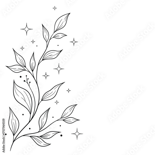 Elegant botanical illustration of a leafy branch with stars