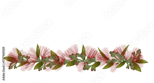 Pohutukawa Flowers garland. New Zealand Christmas Tree